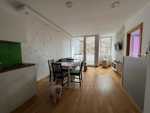 Schoenbrunn Luxury Apartment Vienna Luaran gambar