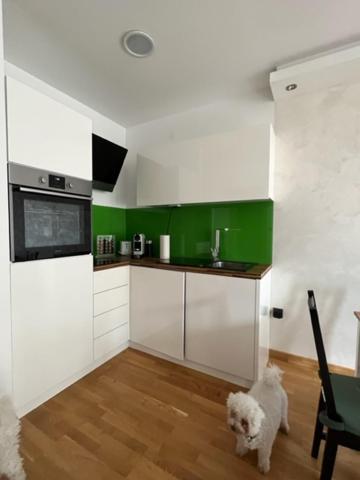 Schoenbrunn Luxury Apartment Vienna Luaran gambar